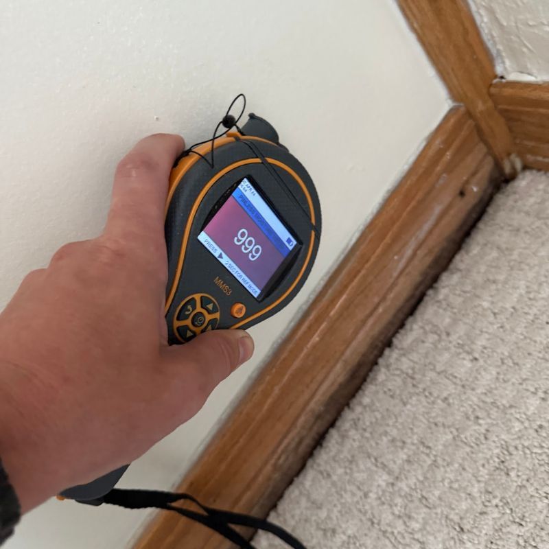 Professional Water Damage Restoration