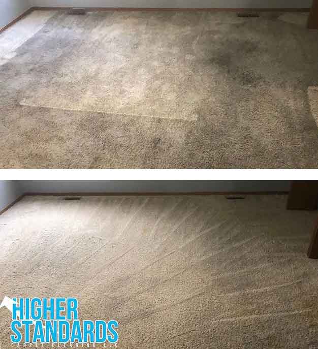 Higher Standards Carpet Cleaning, Area Rug Cleaning Wichita Ks